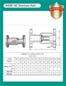 Van kiểm tra hai mục đích dọc và ngang H42M-16 hơi nồi hơi van kiểm tra giảm thanh van DN25 40 50 65 80 100 - Product Image 5