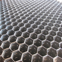 Grille hexagonale et Flexible En Métal Réfractaire Doublure Applications
