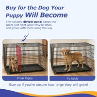 Cage pour chien avec double porte, cage pliable en fil métallique avec plateau et panneau de séparation amovibles, cage pour animaux de compagnie pour grands chiens