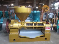 Extracteur d'huile commercial YZYX140GX grande capacité à fonctionnement continu pour la production d'huile de palmiste et de colza en Malaisie