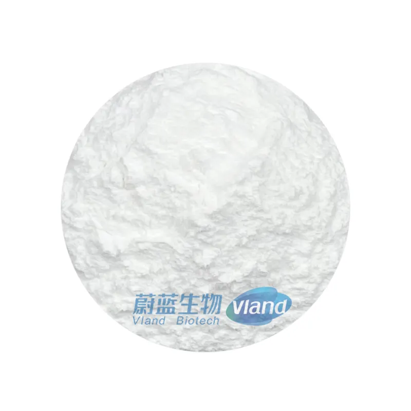 Factory Price 80-200 Mesh Creatine Monohydrate Powder for Food Additives