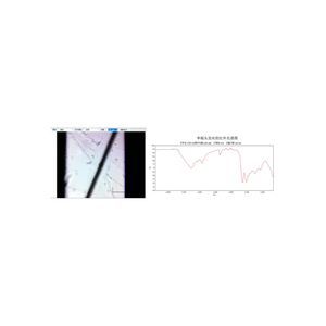 ระบบกล้องจุลทรรศน์ RAYLEIGH FTIR พร้อมสเปกโตรมิเตอร์อินฟราเรด แหล่งกำเนิดอินฟราเรดความเข้มสูงแบบระบายความร้อนด้วยอากาศ รองรับ WIFI สำหรับการระบุข้อมูลอย่างแม่นยำ - Product Image 4