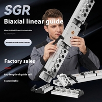 Guide linéaire à double axe SGR10 15N 20 25 35 curseur de glissière de verrouillage axe optique photographie bloc en acier noyau de roulement intégré