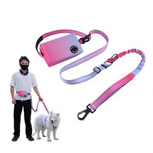 Collare e Guinzaglio per Cani di Lusso in Nylon Resistente con Marsupio per Passeggiate Eleganti - Product Image 1