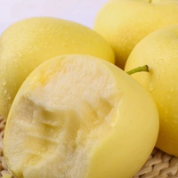 Premium verse Golden Delicious appel, gele appel, natuurlijke smaak, voor detailhandel en horeca