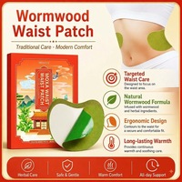 Koyo Herbal Mugwort Pereda Nyeri Pinggang Grosir 12pcs/box Plester Wormwood untuk Nyeri Pinggang dan Nyeri Sendi Logo Dapat Disesuaikan