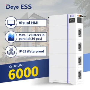 Deye ESS AI-W5.1-Bメーカー51.2Vモジュール100ahLFPバッテリーLiFePO4バッテリーエネルギー貯蔵システム