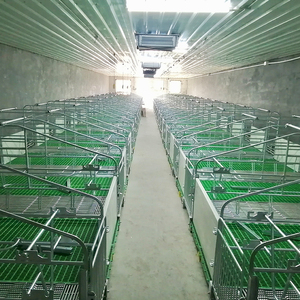 Lit de mise bas ventilé pour l'Asie du Sud, cage de mise bas pour truies galvanisée à chaud avec plancher antidérapant, équipement d'élevage porcin - Product Image 6