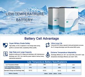 Новое поступление перезаряжаемые литий-ионные призматические элементы батареи безопасности Lifepo4 200Ah вилочный погрузчик хранение энергии-25 ℃ низкая температура - Product Image 5