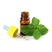 Hydrolat de menthe poivrée 100% pur et non dilué, idéal pour le nettoyage des pores, le soulagement de la fatigue, la matière première pour les soins quotidiens de la peau