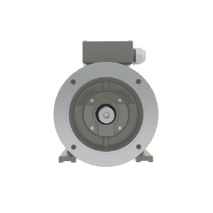 Moteur asynchrone allemand à courant alternatif 220V pour usage industriel - Product Image 5