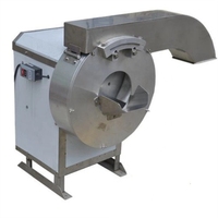 Quick Bevriezing Verwerking Machine Bevroren Groente En Fruit Productielijn