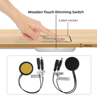 Capteur intelligent pénétrable DC12V 24V 5A 60W pour interrupteur tactile de panneau en bois pour éclairage LED d'armoire
