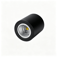Luminaria LED Empotrable de Techo Antideslumbrante, 2700K 3000K 4000K 5000K, Redonda, en Blanco y Negro, 100lm/W