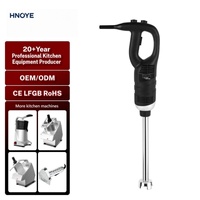 Blender Imersi Komersial Tugas Berat 650W Mixer Tongkat Tangan dengan Batang Stainless Steel Panjang