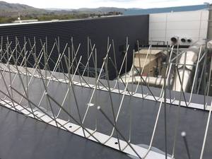 Offres Spéciales d'usine garder hors mouche Animal amovible en acier inoxydable Anti-oiseau pointes repousser petit oiseau Anti Pigeon en acier inoxydable oiseau Spi - Product Image 5