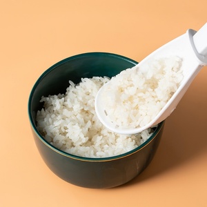 Cuillère de cuisine, écumoire, spatule ajourée, spatule de retournement, cuillère ajourée résistante à la chaleur avec maille - Product Image 2