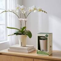 Kit de micro-jardin d'intérieur pour la décoration de la maison, jardinière suspendue tout-en-un avec système d'arrosage automatique, lumière de croissance et minuterie intelligente 8/16H
