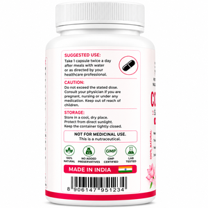 Capsules d'extraits végétaux 500mg – Qualité supérieure – Produit ayurvédique en capsules – Marque privée – Fournisseur en gros – Fabricant - Product Image 3
