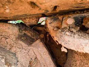 Grue sur chenilles SANY SCC750A 75t d'occasion Scc750e Scc550e Scc750a Scc1000c d'occasion Grue sur chenilles Sany 250t - Product Image 3