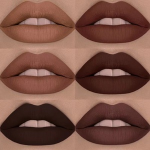 Kit de vernis à lèvres longue durée, produit cosmétique, brillant à lèvres mat, étanche, 43 couleurs, vente en gros - Product Image 1