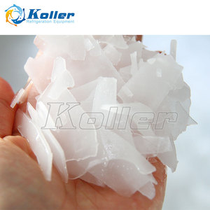 Máquina de Hielo en Escamas Koller de <span class=keywords><strong>Gran</strong></span> Capacidad y Alta Calidad, 30 Toneladas, para Fines Industriales - Product Image 5