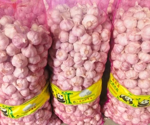 Nuevo Ajo Blanco Puro y Ajo Blanco Regular Lanzado en 2026, Suministrado por Exportadores Profesionales de Ajo Chino - Product Image 6