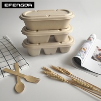 Fabricant de boîtes biodégradables en bagasse – Contenants alimentaires jetables et compostables en pulpe pour plats à emporter