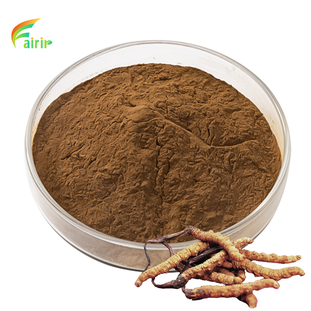 Fairir Food Grade High Quality Cordycepin 20% Mushroom Extract Powder with Polysaccharides Vitamin Liquid Extract Free Samples