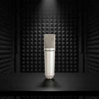 Microphone à condensateur à large diaphragme CM200 34 mm, microphone professionnel pour l'enregistrement en studio et la diffusion de podcasts
