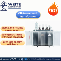 Transformador de Distribución Trifásico de 20kV/24kV y 800kVA, Sumergido en Aceite, Totalmente Sellado, Bobinado de Cobre, Certificado CE, para Energía Solar