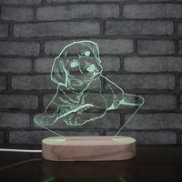 Lampe Led 3d tactile en acrylique, avec interrupteur, Base en bois, pour veilleuse, vente en gros