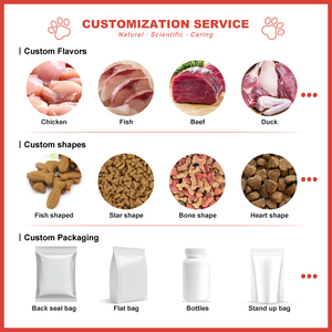 All'ingrosso basso prezzo cane supporto intestinale compresse masticabili con probiotici integratori per animali domestici per aiutare la digestione - Product Image 5