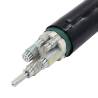Câble d'alimentation en cuivre isolé PVC 0,6/1 kV, classe C, câble de construction FR, homologué CE, directement de l'usine