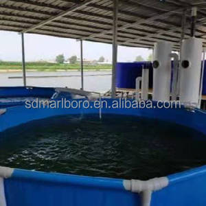 ขนาดที่กำหนดเองในร่มถังเลี้ยงปลา<span class=keywords><strong>นิล</strong></span>บ่อที่ใหญ่ที่สุดสำหรับการ<span class=keywords><strong>เลี้ยง</strong></span><span class=keywords><strong>ปลา</strong></span> - Product Image 6