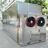 Industriële fruitdroogmachine, dehydratatie-apparatuur voor voedingsfabrieken