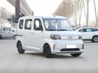 Nuevo modelo Wuling Zhiguang New Energy Electric Mini Van