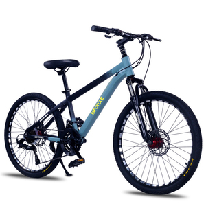 Bicicletta Mountain Bike in Carbonio a 21 Velocità, Hardtail, Bici da Montagna a 27 Velocità, Bicicletta da Montagna da 29 Pollici - Product Image 6