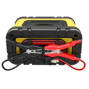 Nuevo Cargador de Batería Inteligente para Automóvil Eléctrico de Corriente Continua, 10 A, 12 V, 24 V, 20 Amperios, para Baterías de Plomo-Ácido, Litio y Lifepo4, con Buen <span class=keywords><strong>Precio</strong></span> - Product Image 6