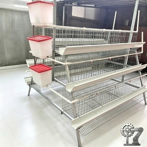 Equipo Automático Galvanizado para Gallinas Ponedoras, Jaulas de Acero para Aves de Corral, para Granjas Avícolas, en Oferta - Product Image 5