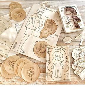 Puzzle en bois sur le cycle de croissance fœtale, jeu éducatif pour bébé sur le processus de <span class=keywords><strong>grossesse</strong></span>, apprentissage cognitif précoce, vulgarisation scientifique, jouet d'apprentissage - Product Image 3