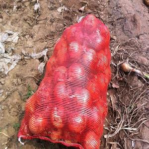 Màu vàng tươi sáng màu đỏ 45x75cm 38*78 Leno túi lưới màu đỏ cho hành tây tỏi đóng gói cho thị trường yemen - Product Image 4