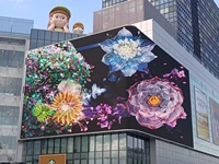 Écran LED d'affichage publicitaire extérieur étanche, couleur pleine HD 3D, grand mur vidéo pour centres commerciaux, pas de pixel P2.5 P8, P3 P8