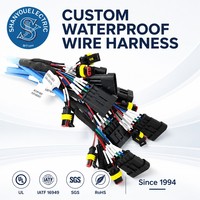 Harnais de câblage personnalisé pour table de mahjong, générateurs à essence, voiturettes de golf électriques et motos avec connecteur JST PH2.0 IP66