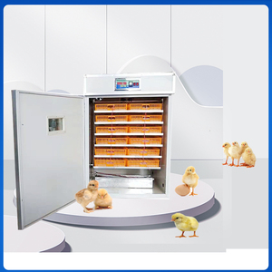 Incubatrice Professionale Automatica per 1000 Uova, Macchina per Incubazione del Pollame di Ultima Generazione - Product Image 6