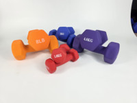 Ensemble d'haltères en ciment écologiques, revêtement vinyle antidérapant, réglables, durables, légers, pour la maison, la salle de sport, la remise en forme des femmes, le yoga