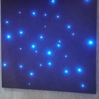 Tapis d'éclairage à fibre optique noire Star Sensory Room Tapis d'éclairage à fibre optique