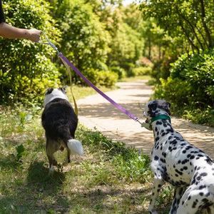 Summa Handle <b>Dog</b> Leash Rivet Durable Eco-Friendly Solid Pattern Waterproof Washable TPU Material - Product Image 2