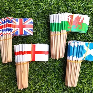 Disposable Eco-friendly Party Bread Cake Steak Flag Decoration Toothpick Flag