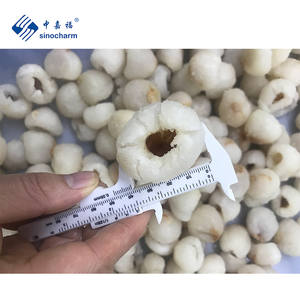 Sinocharm BRC una nuova stagione senza semi pelati biologici 20-50 pz/500g di <span class=keywords><strong>Lichee</strong></span> di litchi congelato IQF intero - Product Image 2